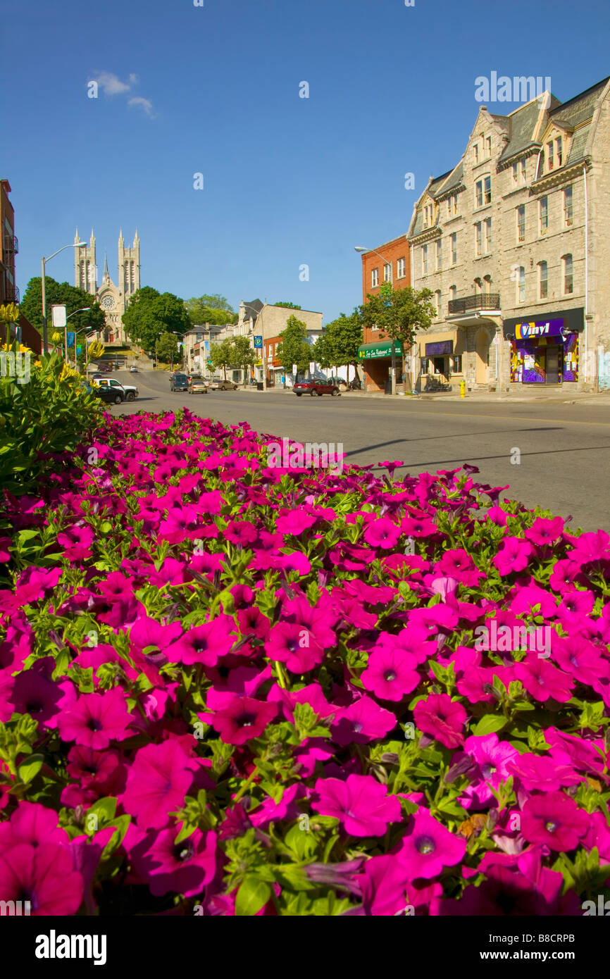 Macdonell Street, Guelph,Ontario Foto Stock