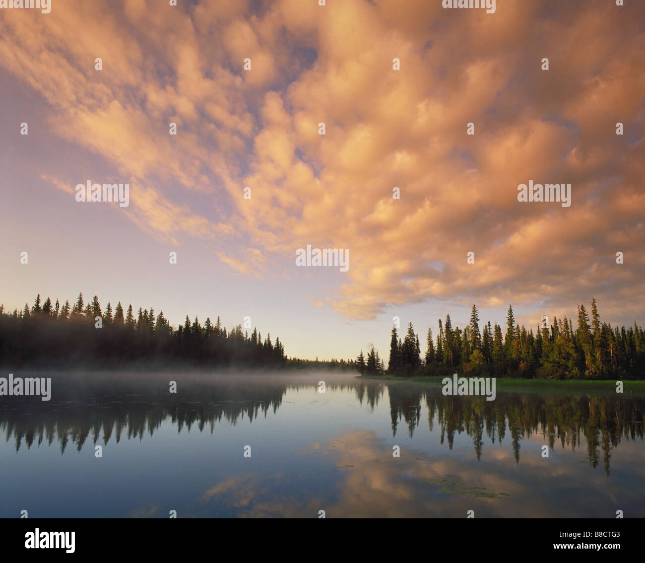 FV0618, Dave Reede; River scenic, Erba River vicino Pisew Falls, Manitoba Foto Stock