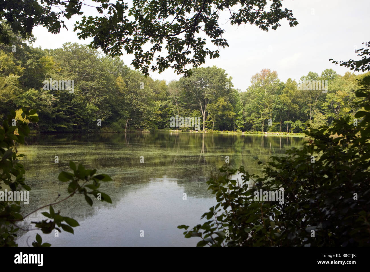 Lo stagno Weir Farm Sito Storico Nazionale ex casa del pittore J Alden Weir Branchville Connecticut Foto Stock