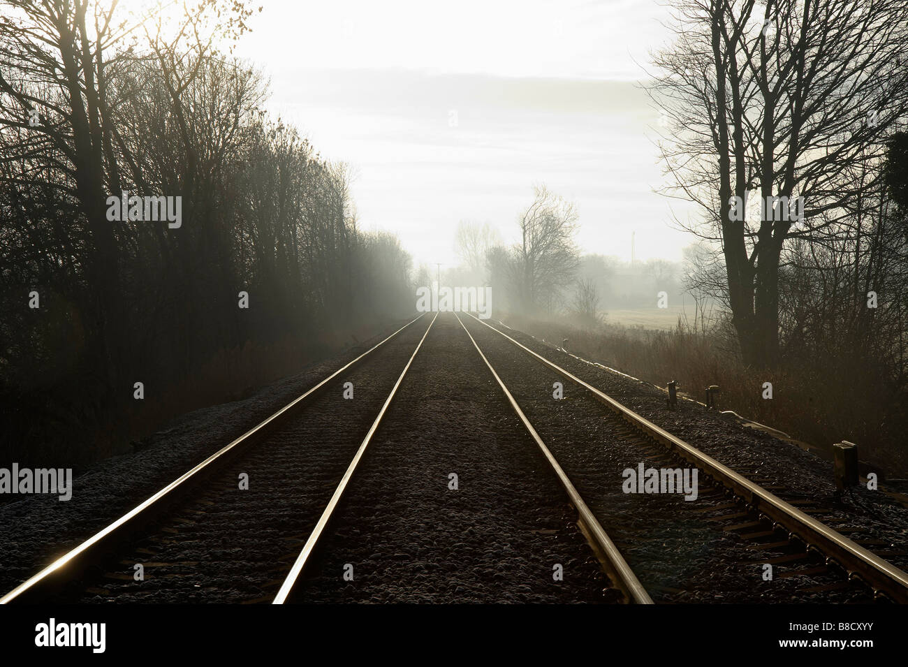 Convergenza di linee ferroviarie, in luce all'alba, Womersley, nell Inghilterra del Nord Foto Stock