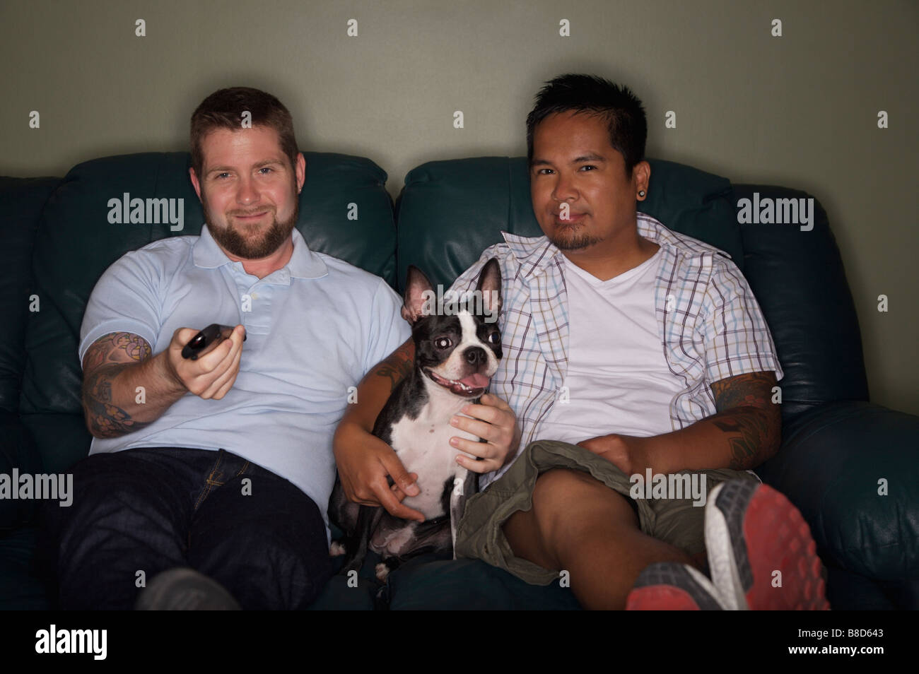 Coppia gay guardando la TV Boston Terrier Foto Stock