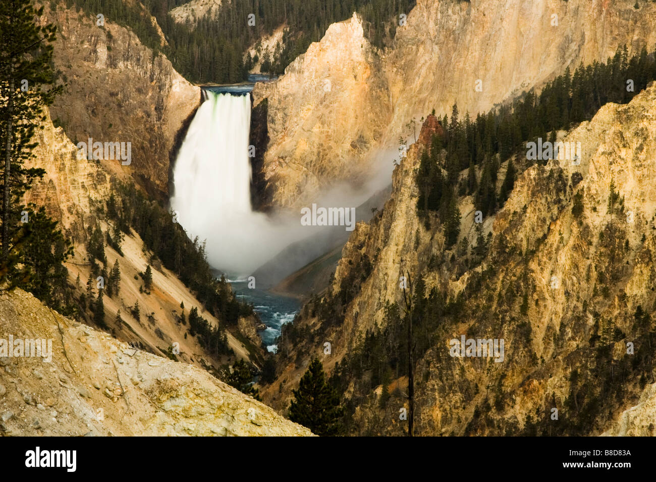 Le cascate inferiori su Yellowstone River Foto Stock