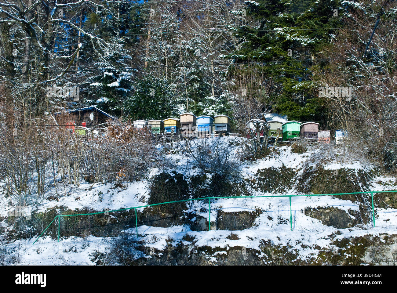 Vivacemente colorato alveari coperti di neve. La Svizzera. Charles Lupica Foto Stock