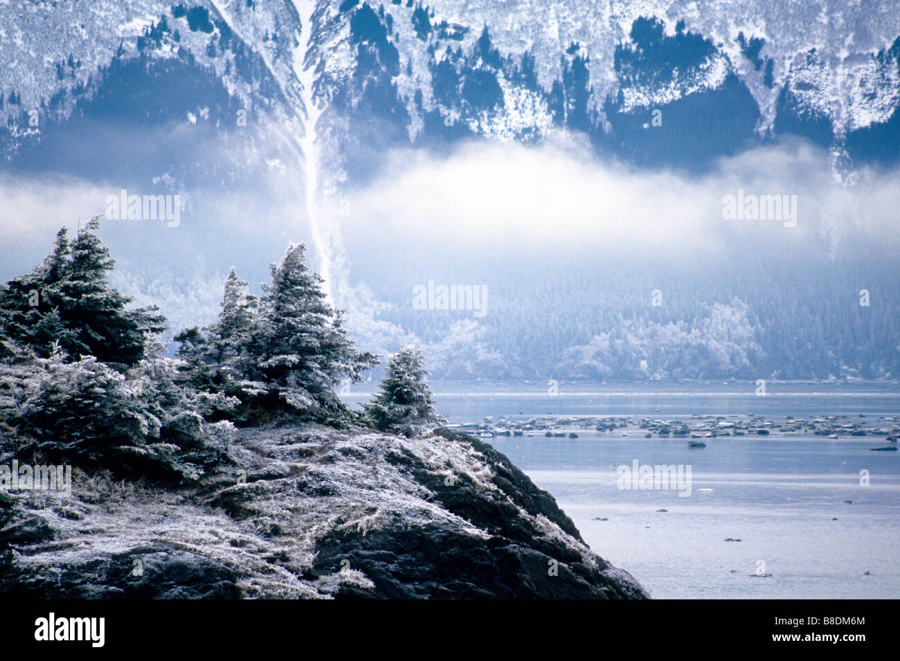 Punto Beluga, Turnagain Arm, Alaska Foto Stock