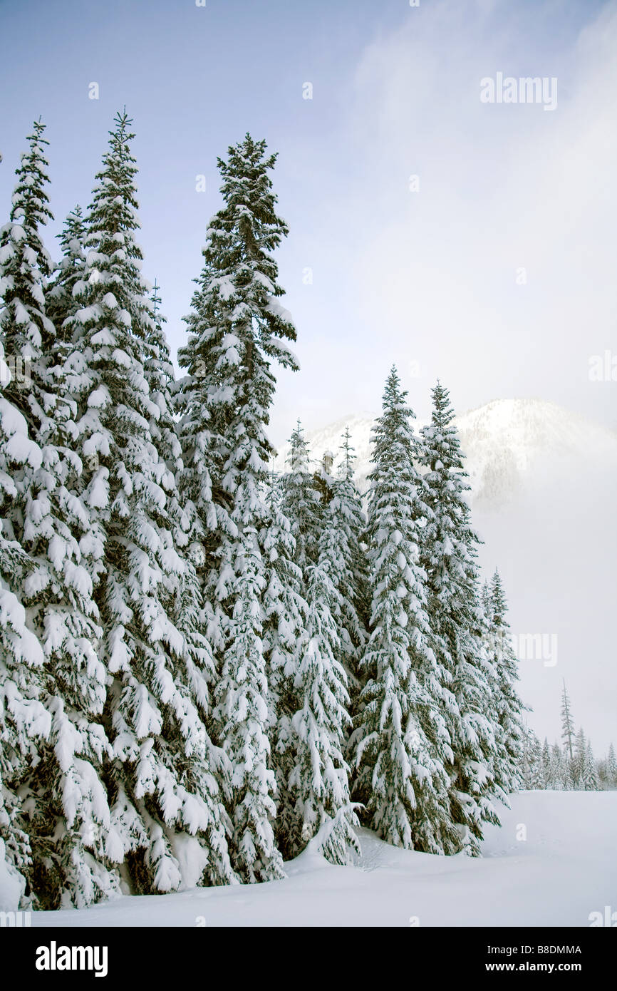 Crystal mountain ski resort Foto Stock