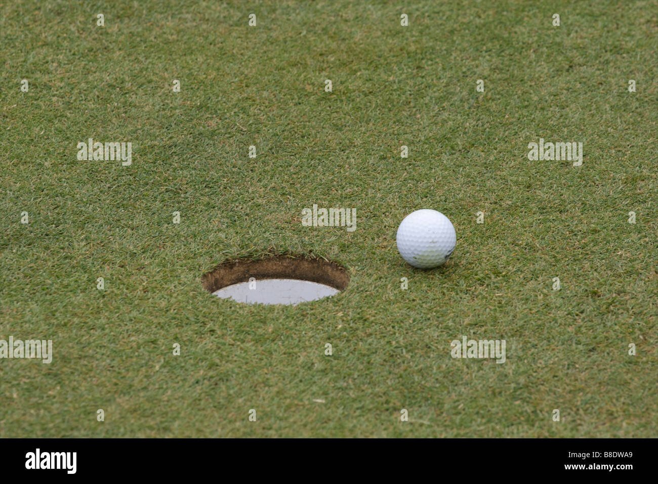Palla da golf vicino al foro sul putting green Foto Stock