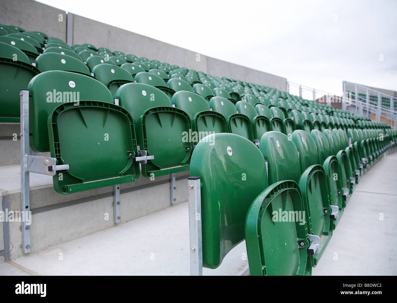 Righe di sedi vuote al Somerset cricket club Taunton Inghilterra. Foto Stock