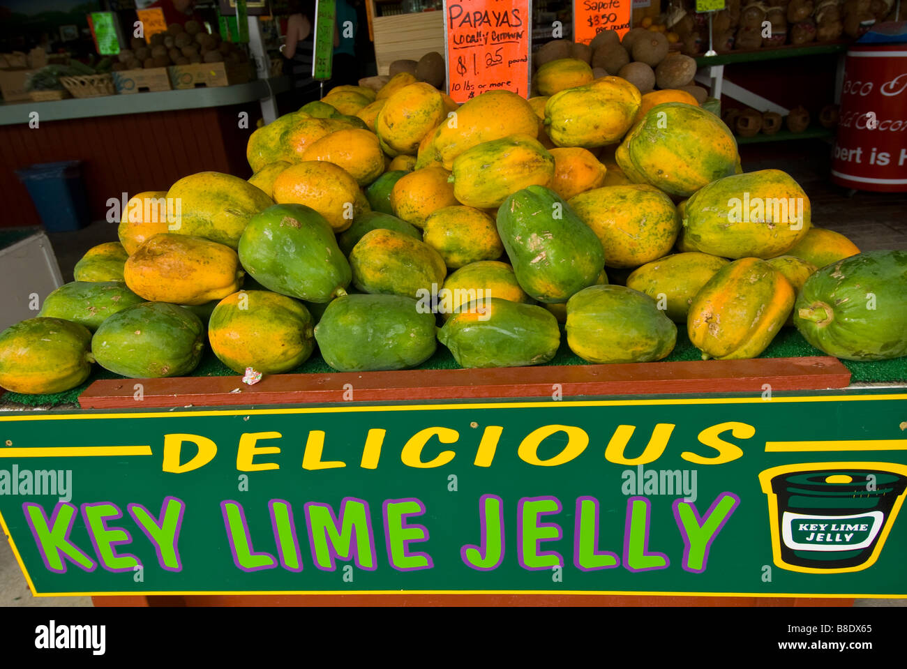 Robert è qui! Frutta stand visualizza Papaya frutto è un punto di riferimento locale a Homestead Florida Foto Stock