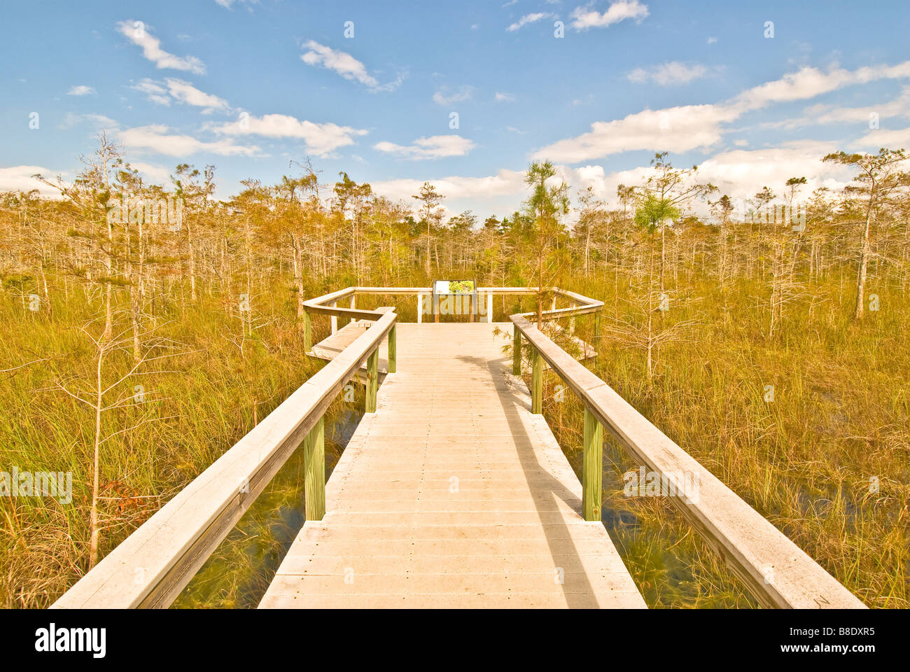 Roccia corallina Pass boardwalk Everglades National Park composite decking in cipressi è di un bianco luminoso riflesso dal caldo sole Foto Stock