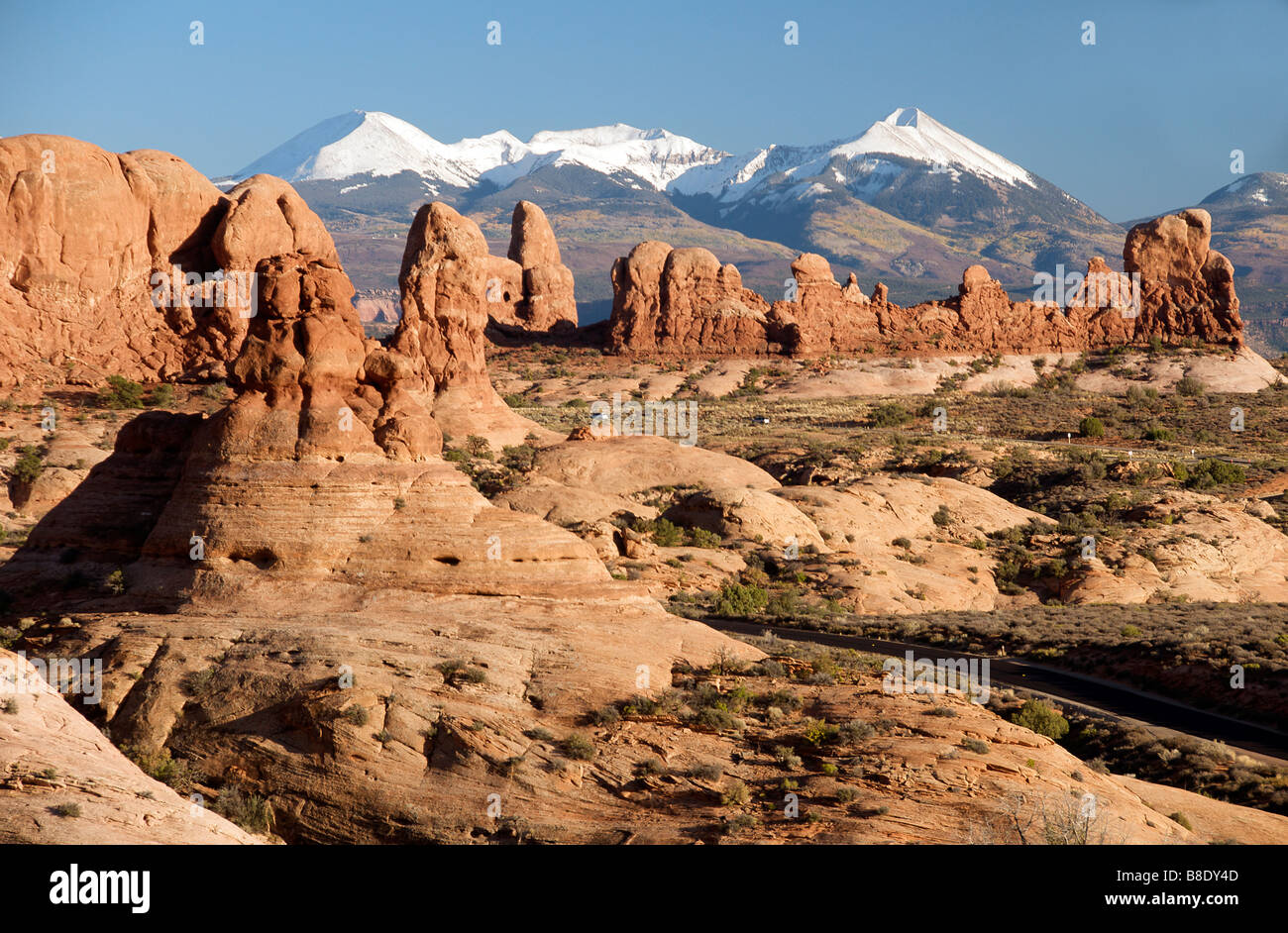 Sfilata di elefanti con sullo sfondo di montagne innevate nella luce della sera Arches National Park nello Utah Stati Uniti d'America Foto Stock