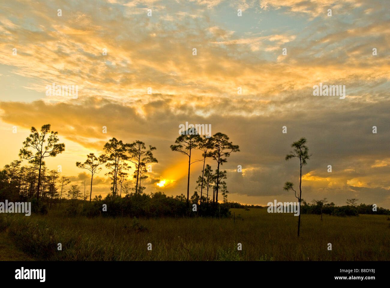 Everglades National Park Florida tramonto spettacolare in Pinelands con raggio di luce proveniente attraverso le nuvole di colori luminosi Foto Stock