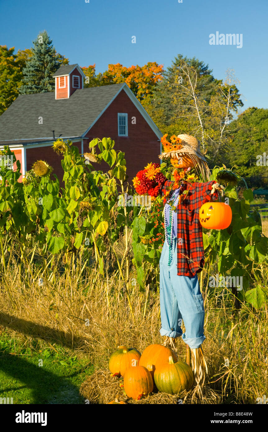 Un cantiere spaventapasseri decorate con arredamento di autunno e zucche nei pressi di Franconia New Hampshire USA Foto Stock