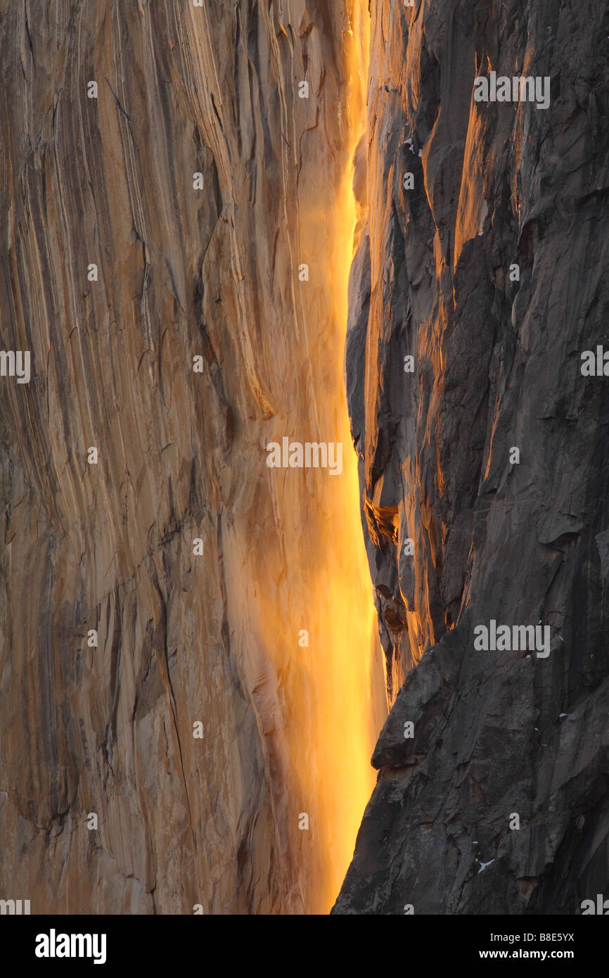 Dettaglio di equiseto rientra nel Parco Nazionale di Yosemite al tramonto. Questo fenomeno si verifica solo per circa due settimane in inverno. Foto Stock