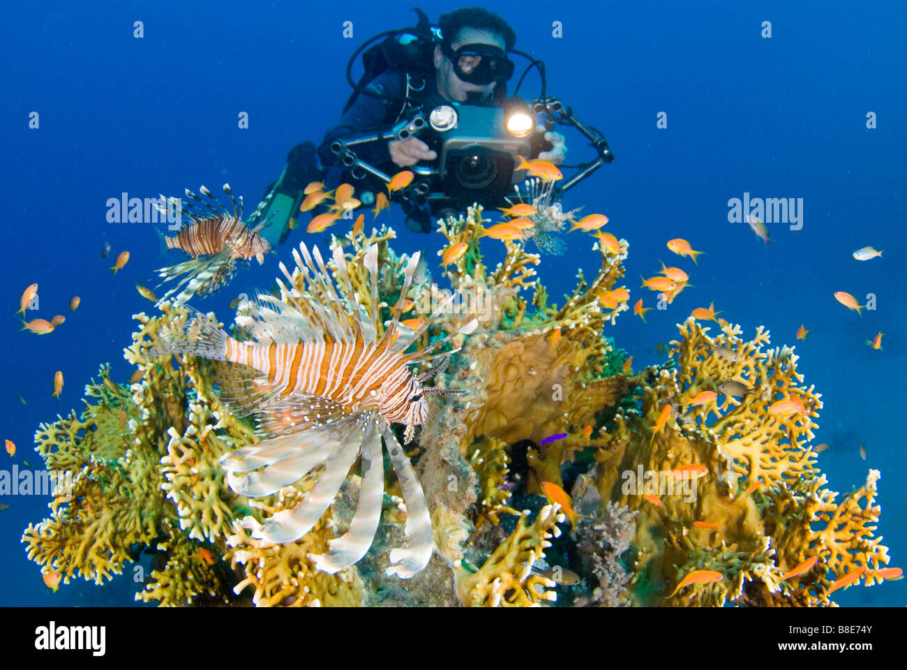 Fotocamera Subacquea l uomo e la barriera corallina in Mar Rosso. Foto Stock