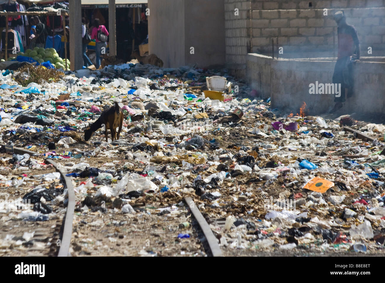 Alimentazione di capra sulla spazzatura in una zona inquinata in St Louis in Senegal Africa Foto Stock