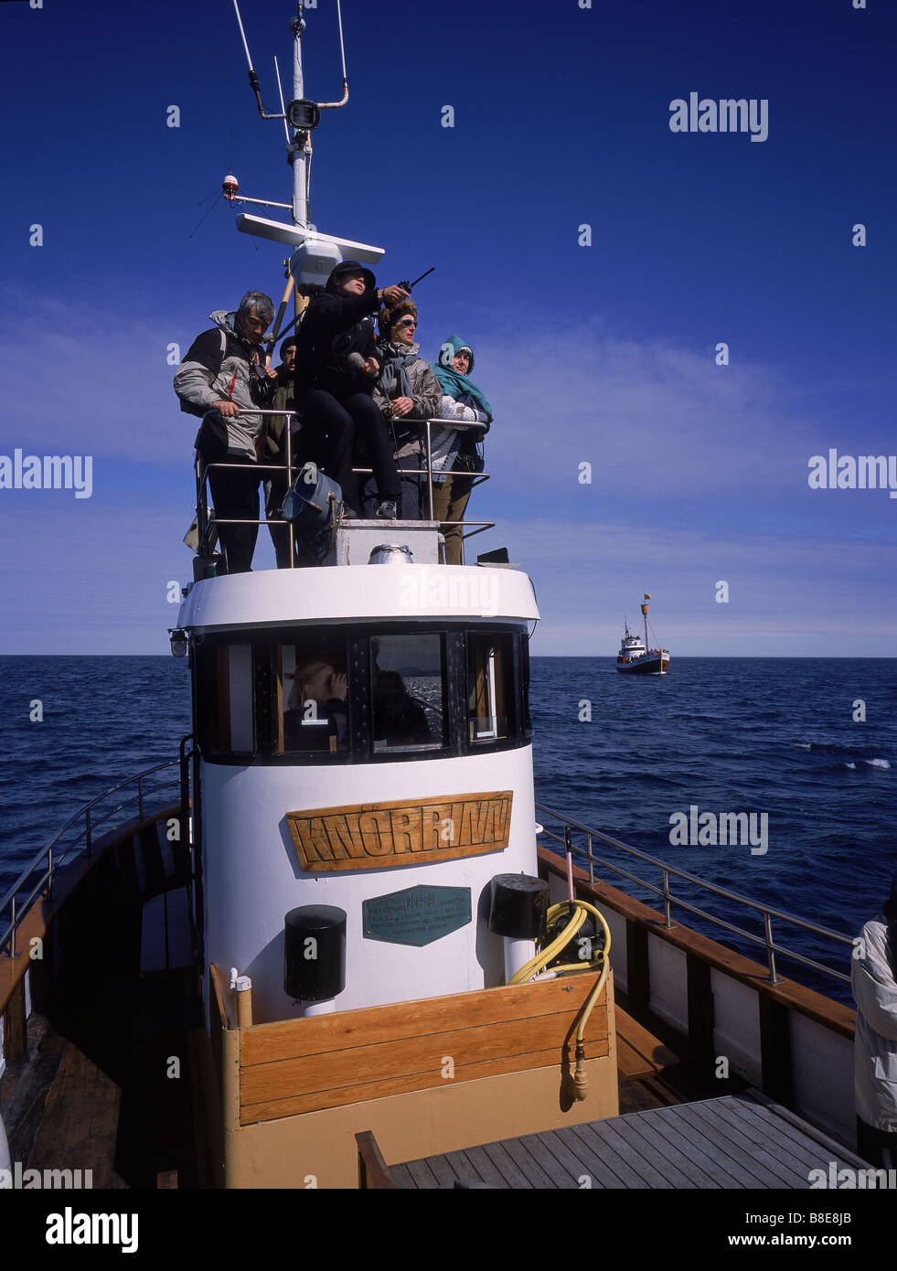 Whale watching tour, Skjalfandafloi bay, Husavik, Islanda Foto Stock