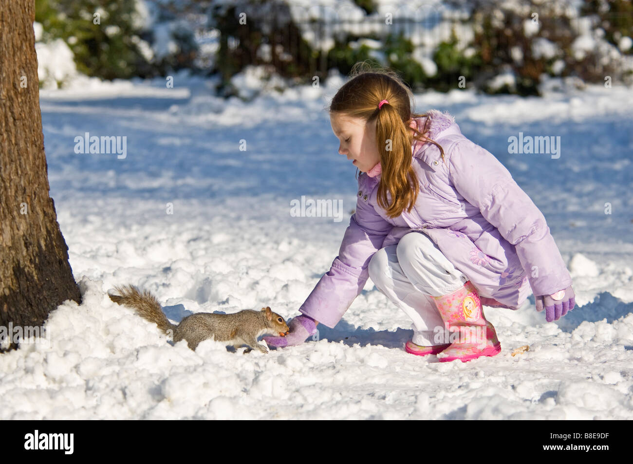 Una giovane ragazza di arachidi di alimentazione di uno scoiattolo in Greenwich Park. Foto Stock