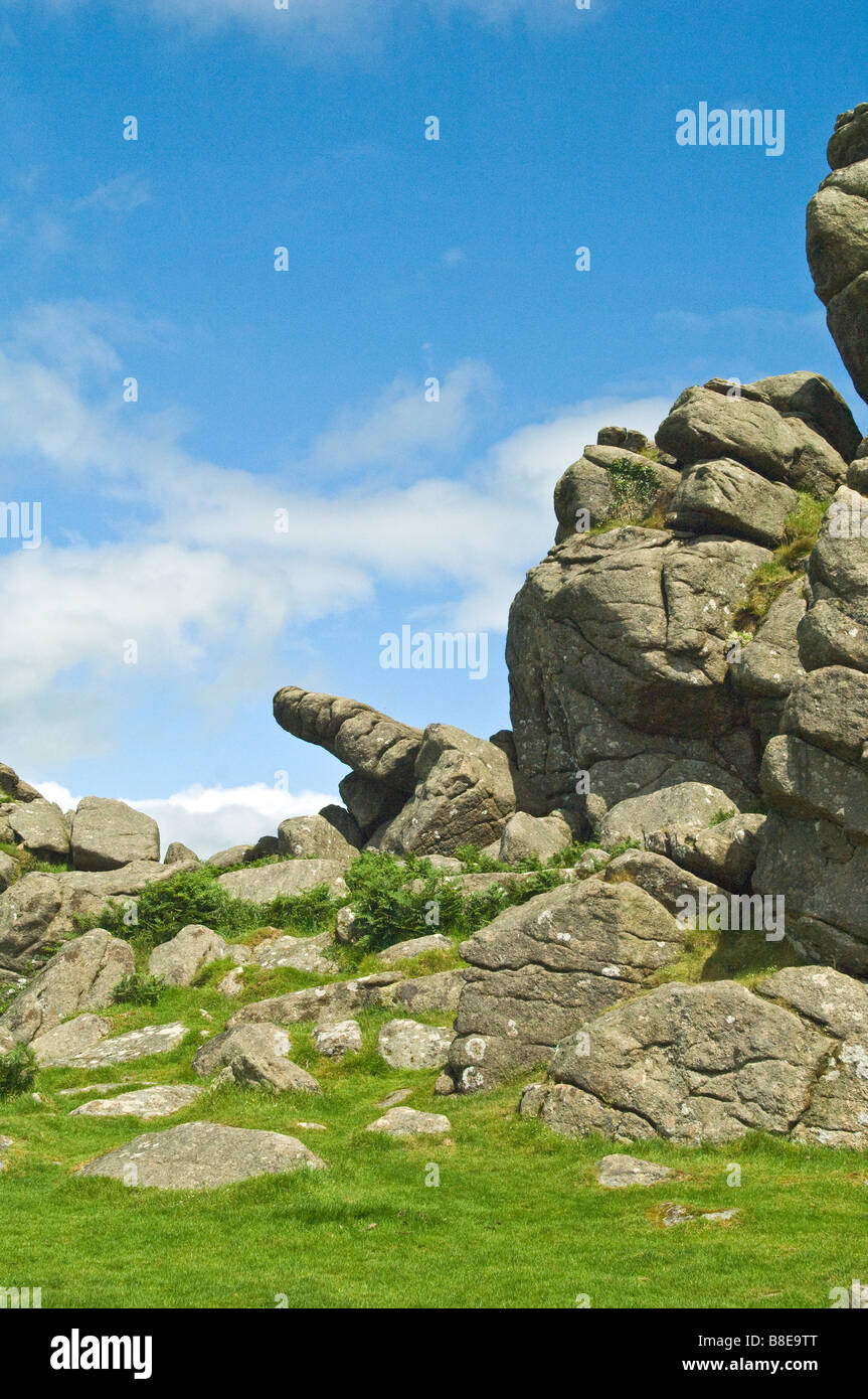 Hound Tor su Dartmoor mostrando il dito di granito. Dartmoor Paesaggio, Foto Stock