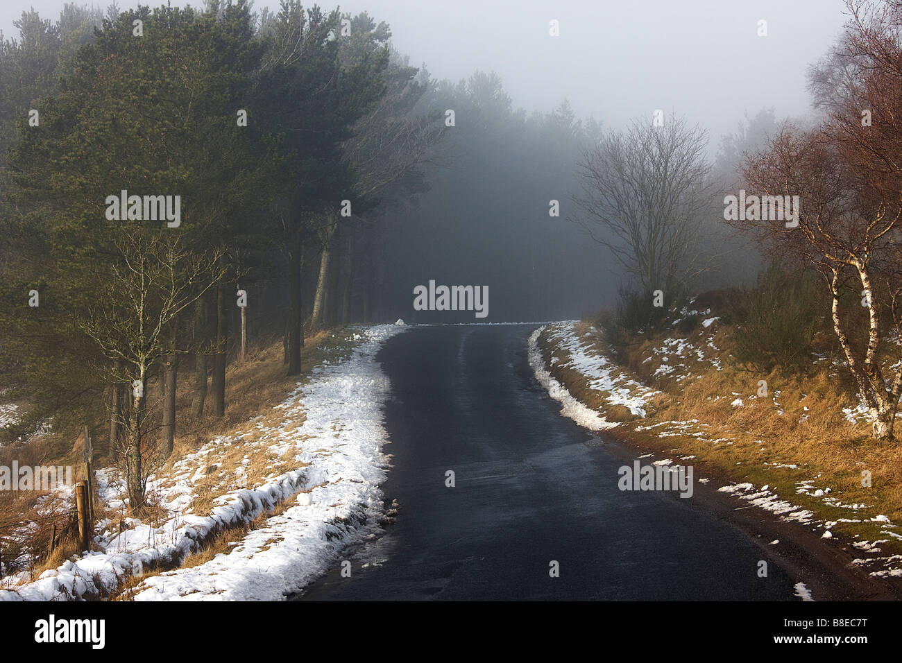 Un altro piega.Longformacus. Duns.road. Scottish Borders. La Scozia. Foto Stock