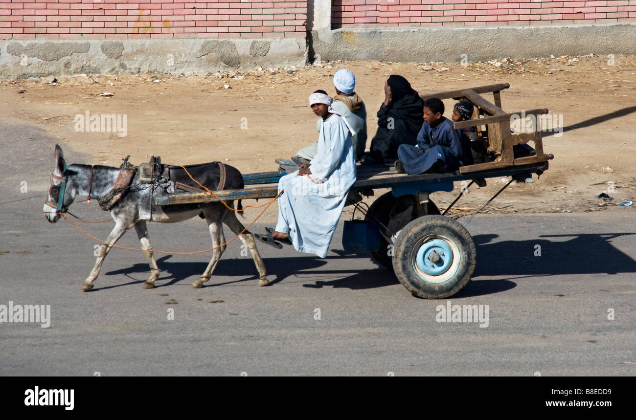 L'asino di movimento del carrello,Egitto Foto Stock