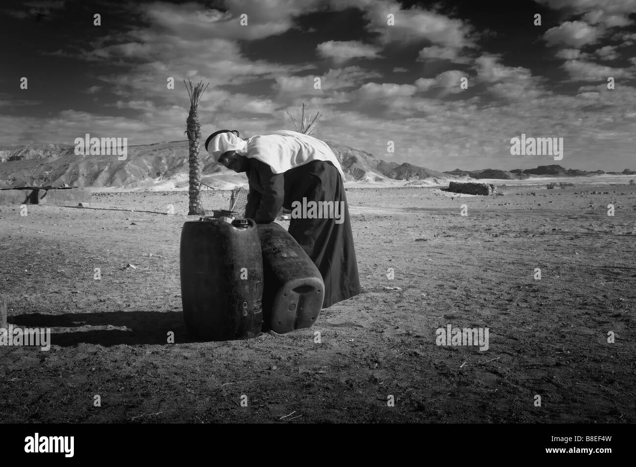Immagine in bianco e nero di un maschio beduino il riempimento di contenitori con acqua in Egitto Foto Stock