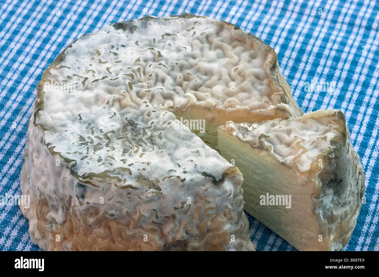 "Pave de la Brenne' / fatti a mano locale di formaggio di capra da la Brenne, Indre, Francia. Foto Stock