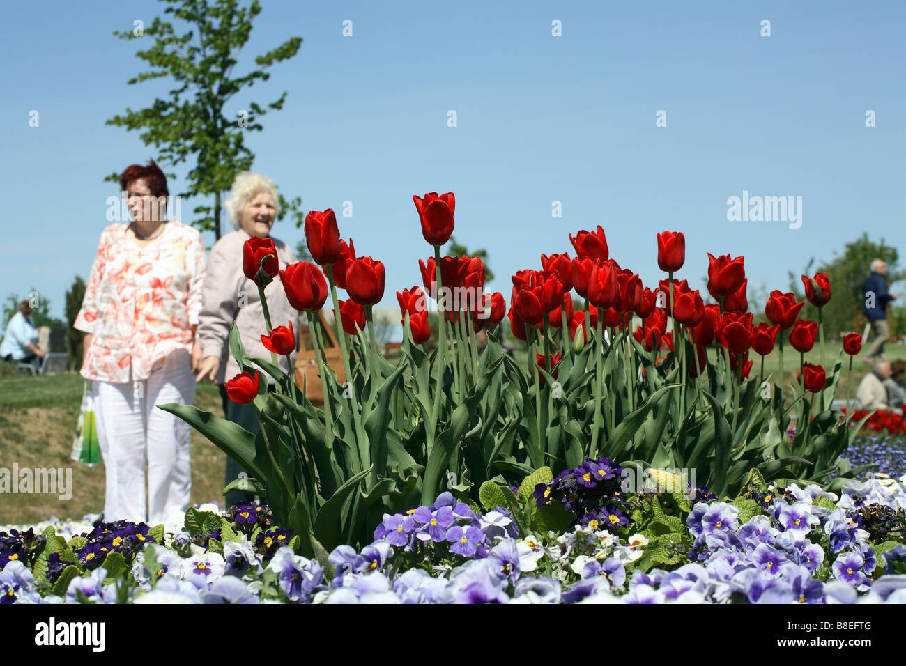 I visitatori e i fiori a BUGA 2007 display in Ronneburg, Germania Foto Stock