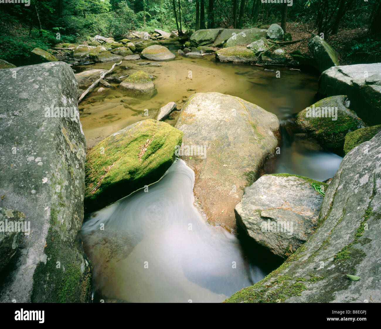 CAROLINA DEL SUD - Cove Reedy Creek sotto Twin Falls in Pickens County. Foto Stock