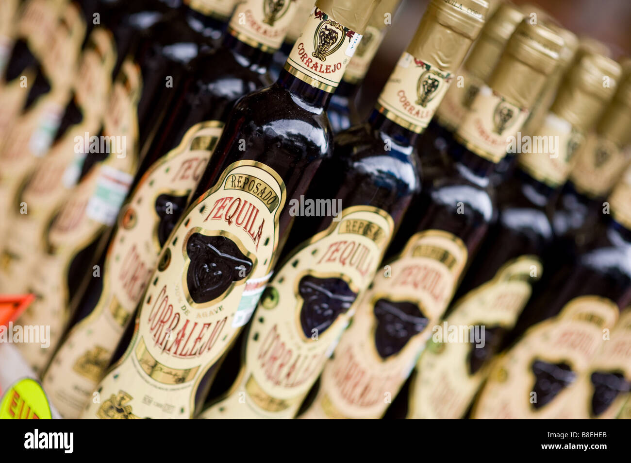 Bottiglie di Tequuila in vendita in Playa del Carmen in Messico Foto Stock