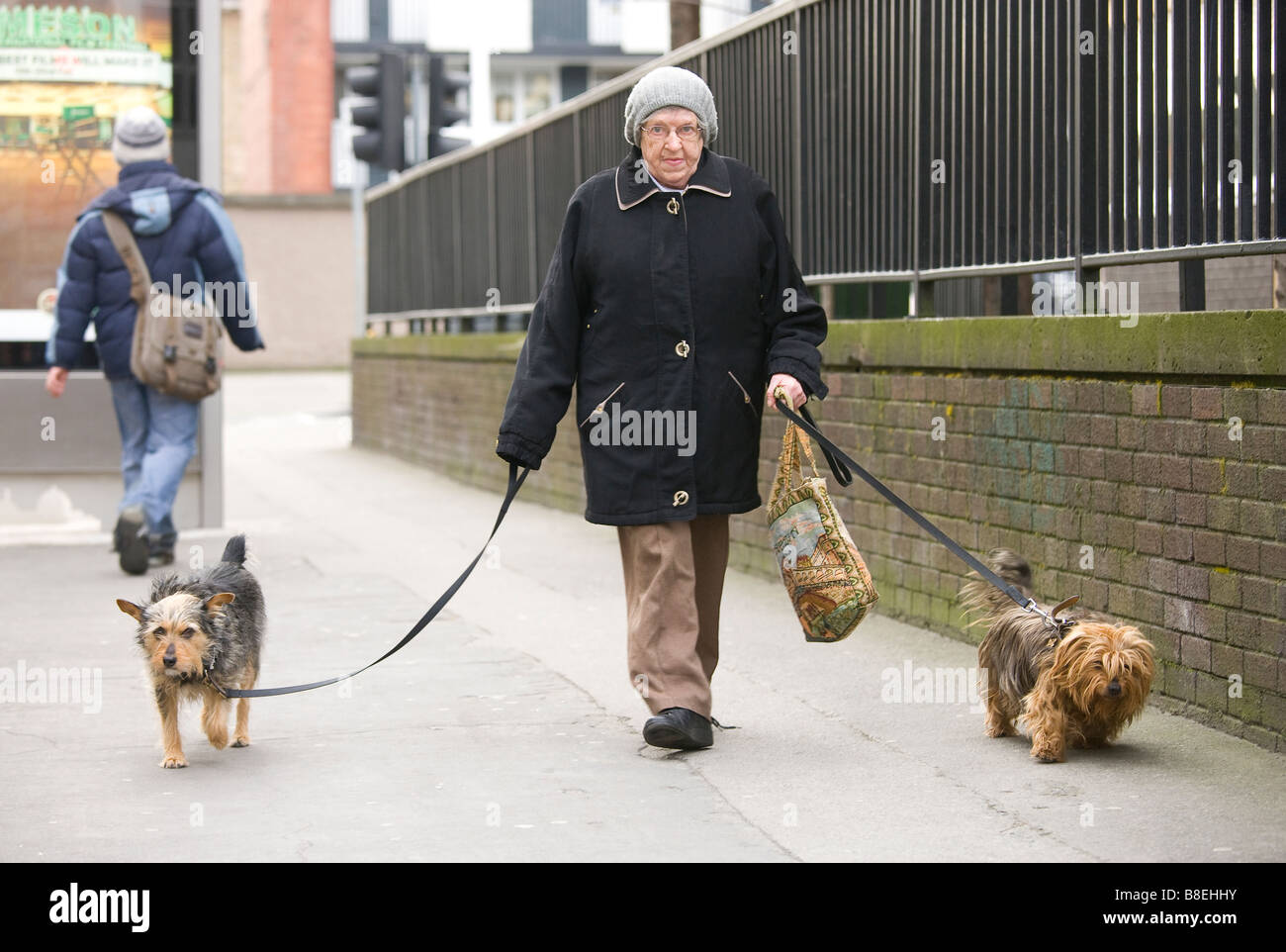 Vecchia donna camminando due cani Foto Stock