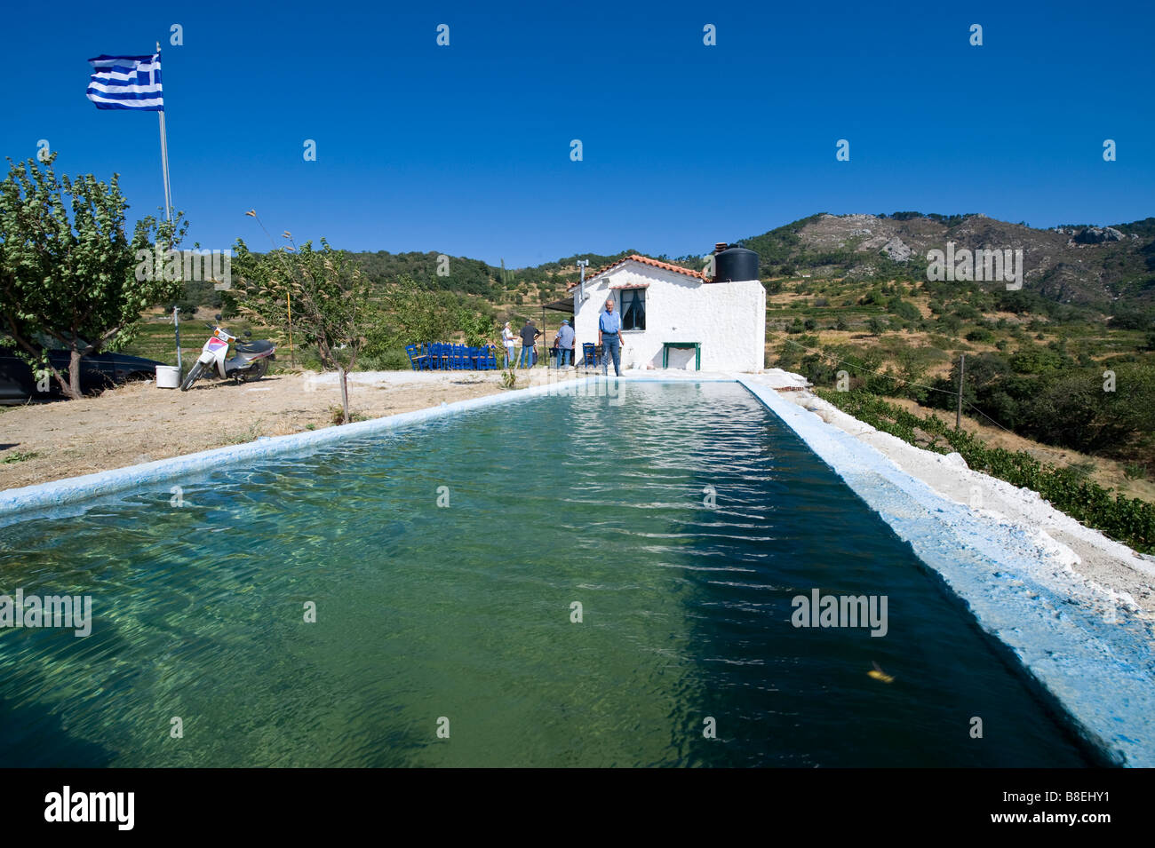Bacino di acqua dolce nei pressi di una casa privata nel centro di vigneti nel centro di un'isola greca Foto Stock
