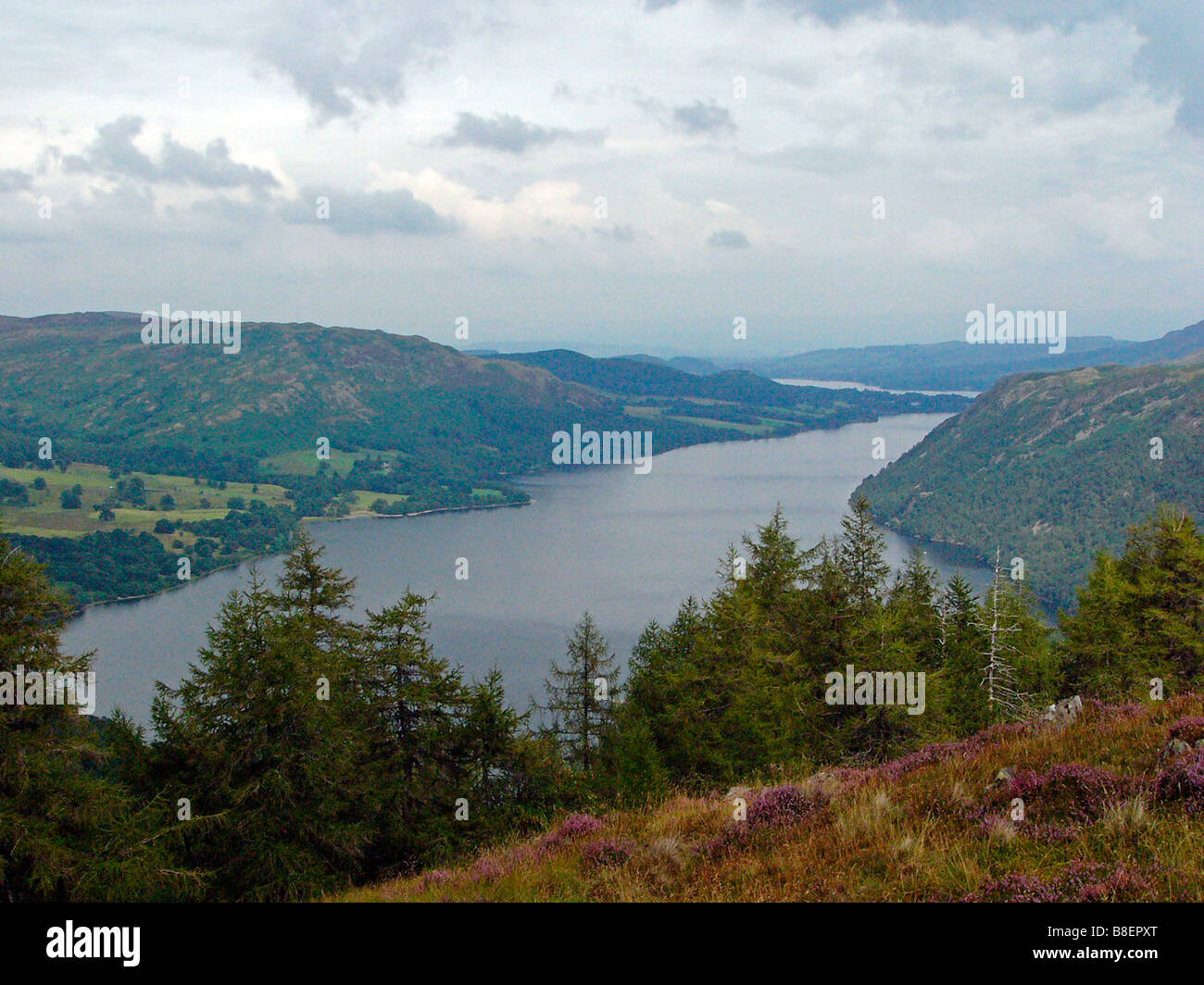 Vista lago ullswater da heather coperto il lato montagna,Lake District. Foto Stock