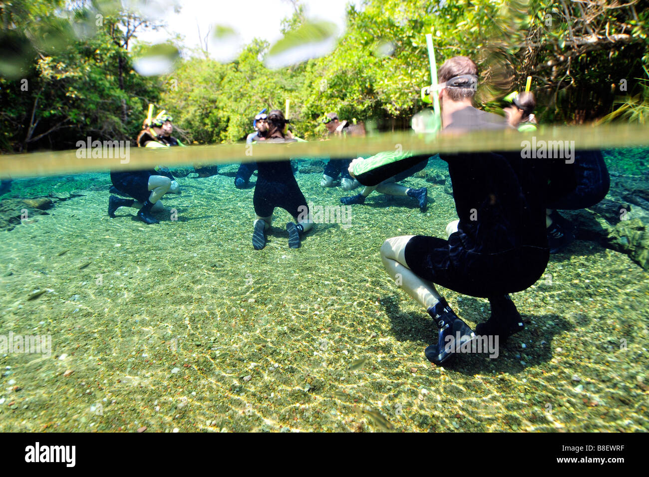 I subacquei preparare la flottazione verso il basso Rio da Prata ecologico di preservare, Bonito, Mato Grosso do Sul, Brasile Foto Stock