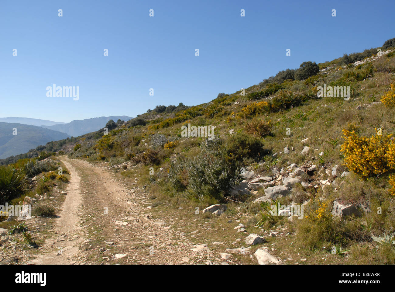 Di strada sterrata, vicino a Benimaurell, Vall de Laguar, provincia di Alicante, Comunidad Valenciana, Spagna Foto Stock