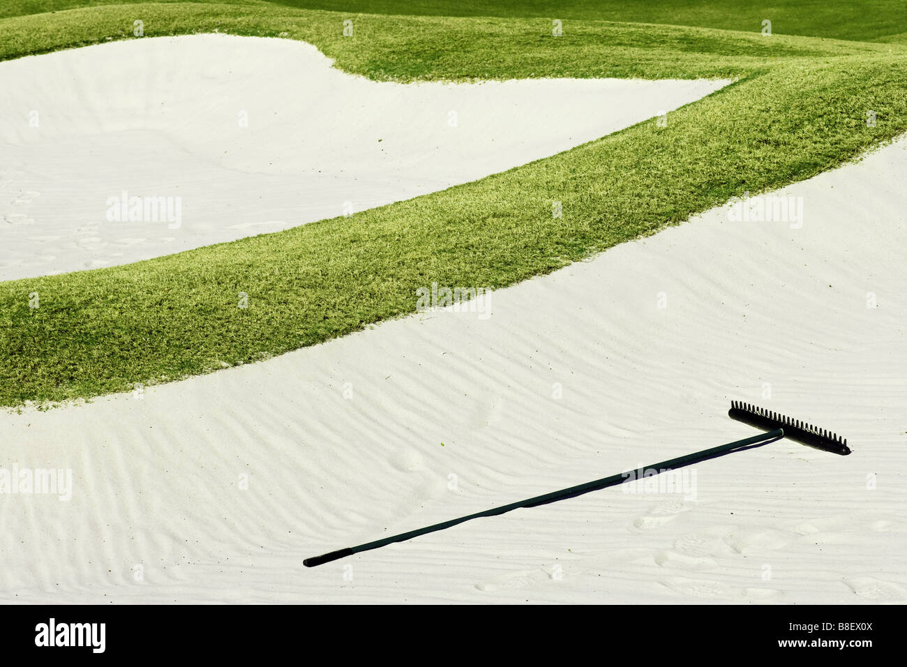 Trappola di sabbia e di erba verde sul campo da golf Foto Stock