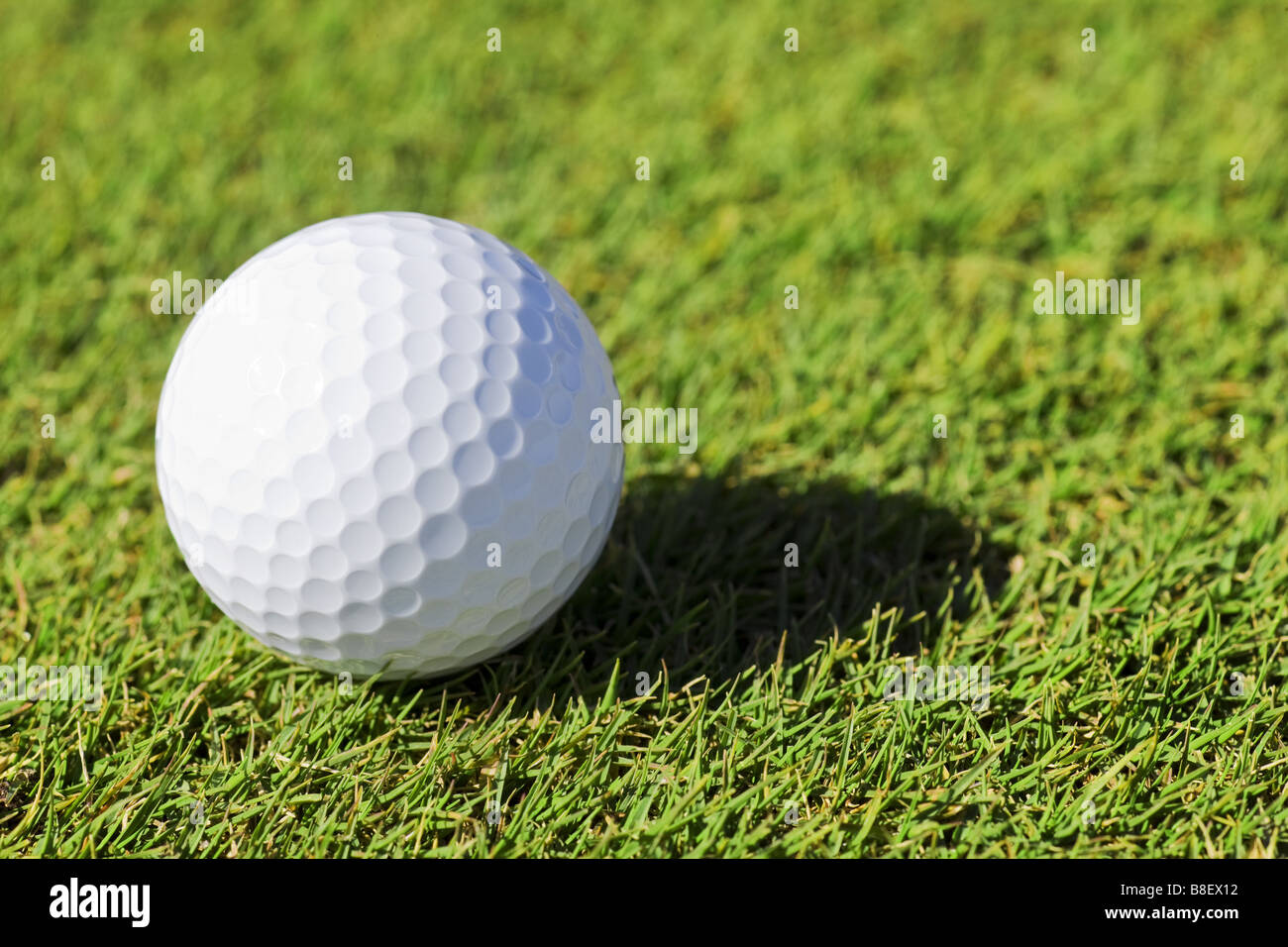 Erba verde e pallina da golf sul campo da golf Foto Stock