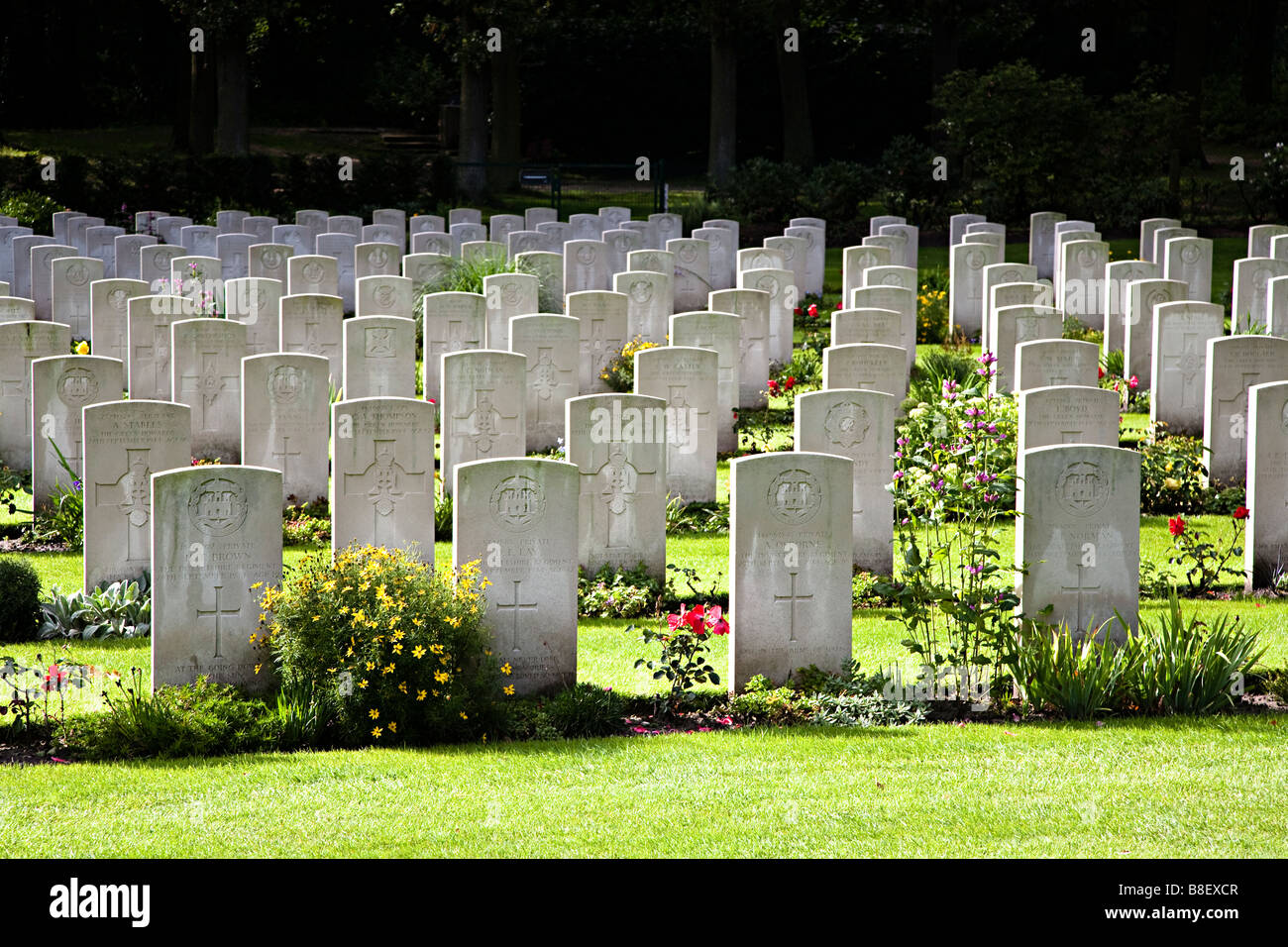 Righe di lapidi nel Commonwealth War Graves cimitero Arnhem Paesi Bassi Foto Stock