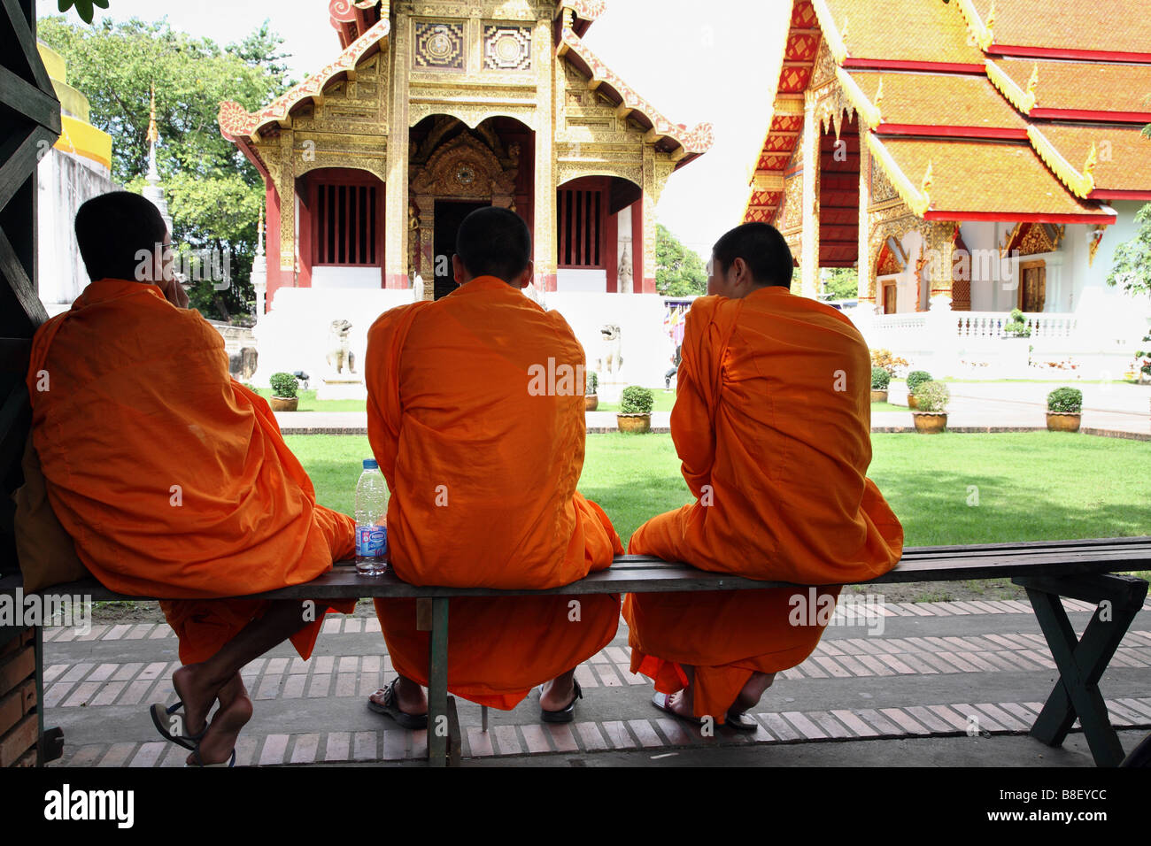 Thailandia monaci buddisti, Foto Stock