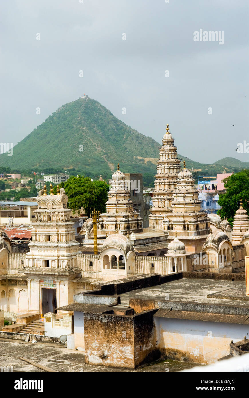 India Rajasthan Pushkar Rangji tempio indù Foto Stock