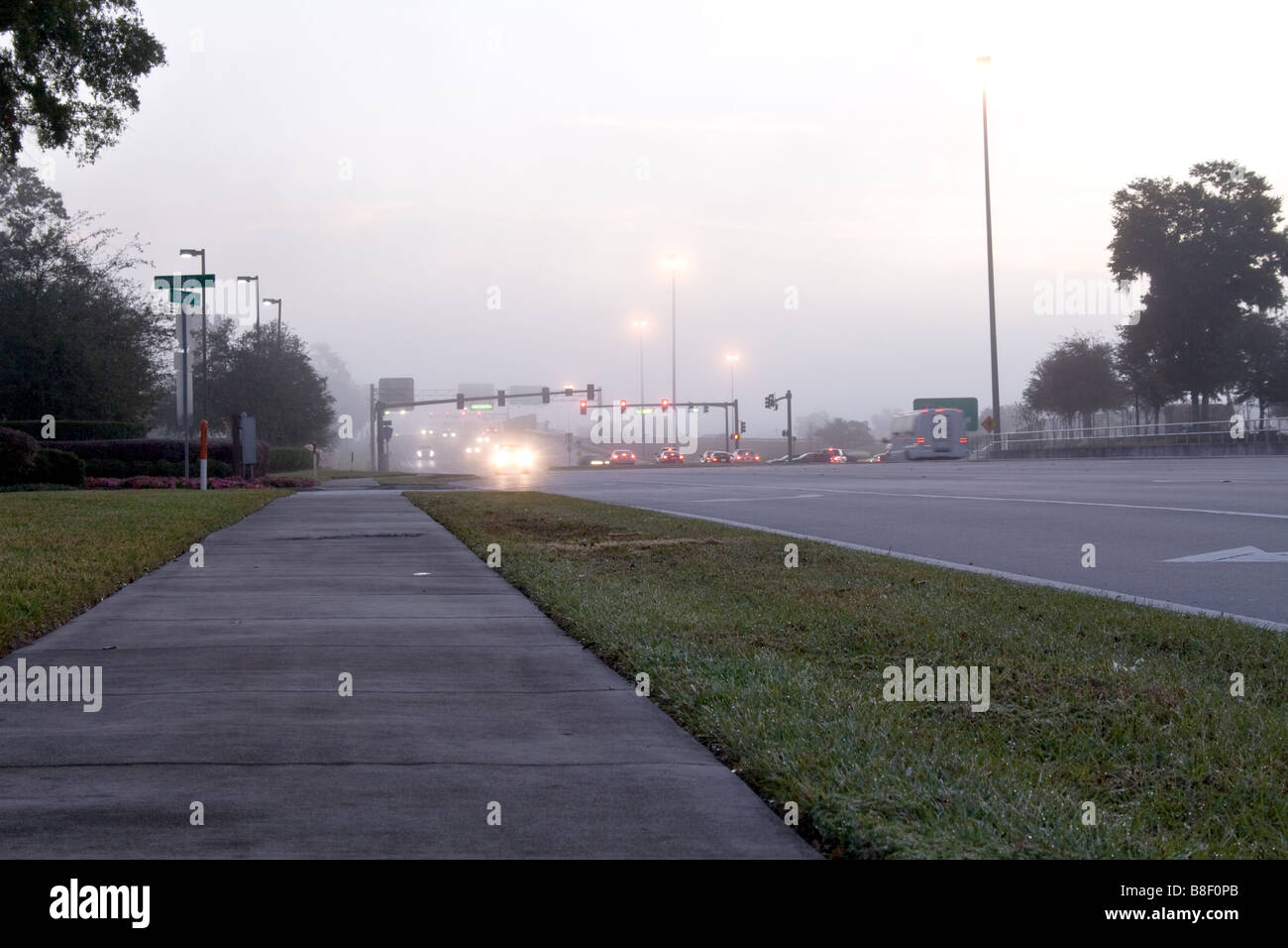 Auto con i fari accesi scendendo a foggy road oltrepassare il semaforo vicino a Orlando, Florida Foto Stock