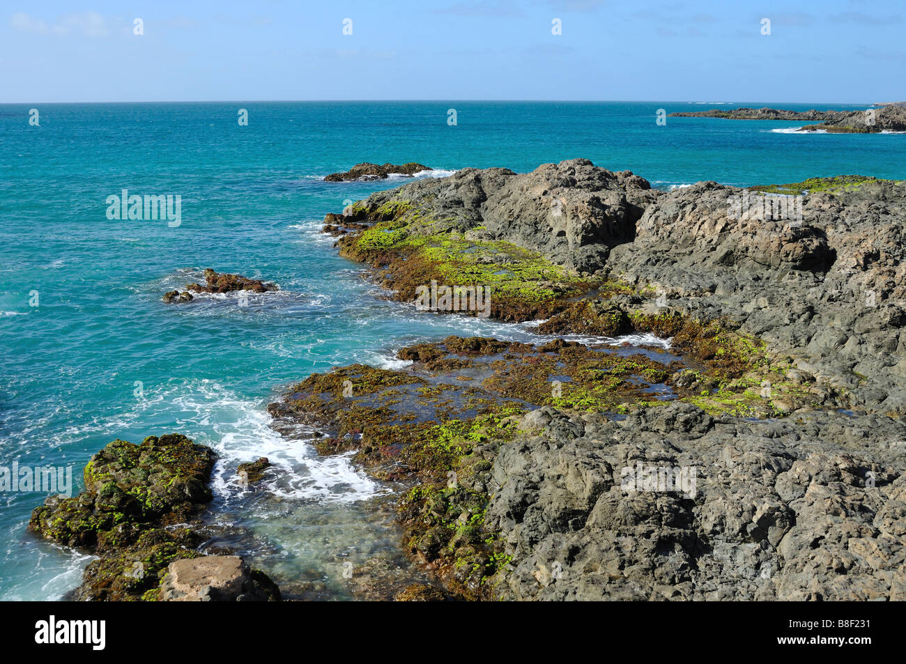 Costa di roccia nei pressi di Sal Rei, isola di Boa Vista, Repubblica di Capo Verde Foto Stock