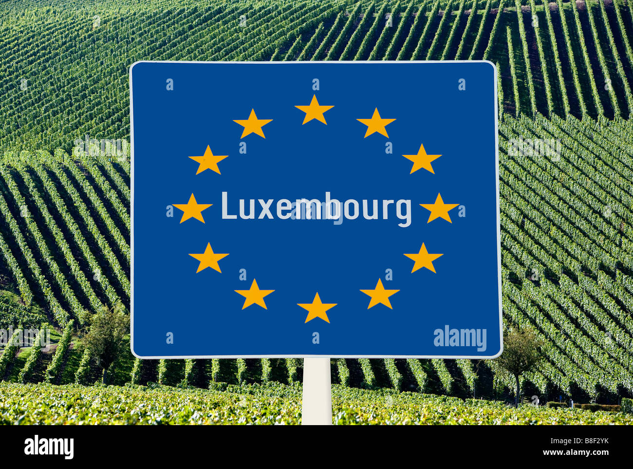 Rappresentazione simbolica del vino normative in Europa Foto Stock