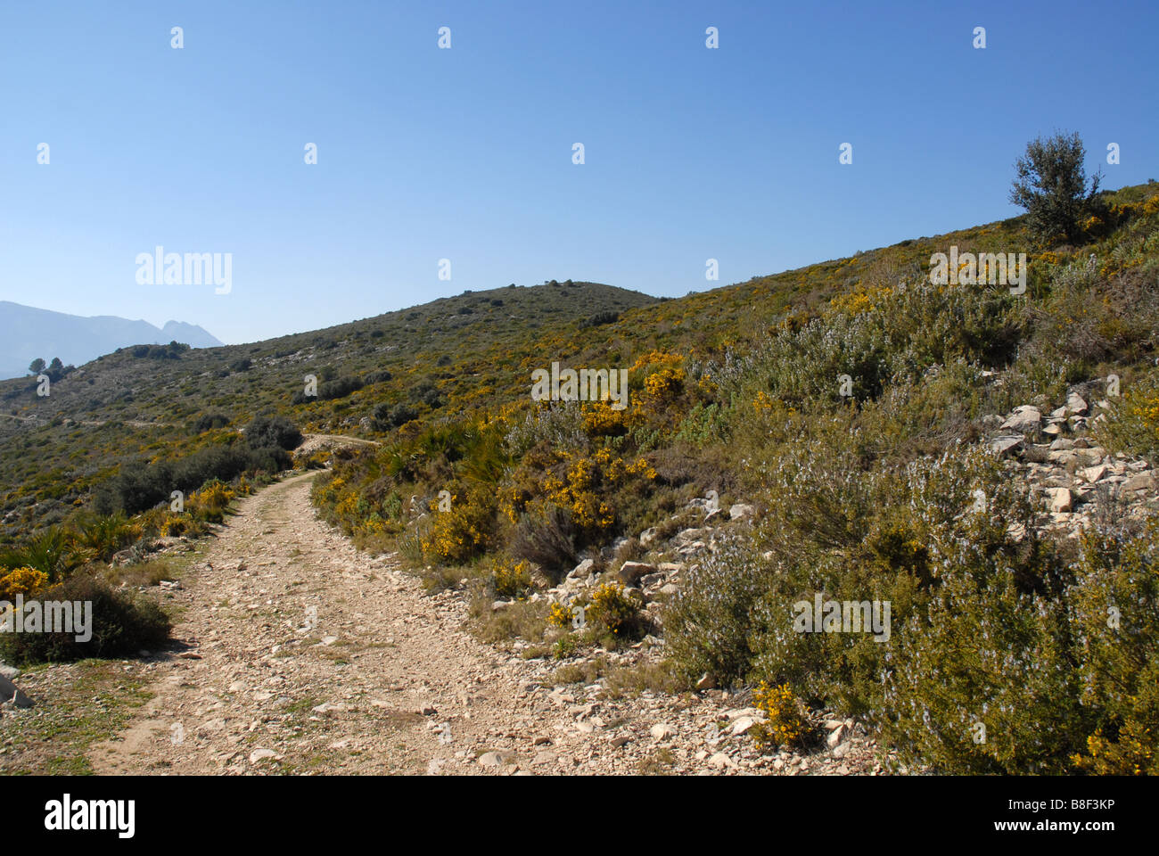 Via montagna, vicino a Benimaurell, Vall de Laguar, provincia di Alicante, Comunidad Valenciana, Spagna Foto Stock