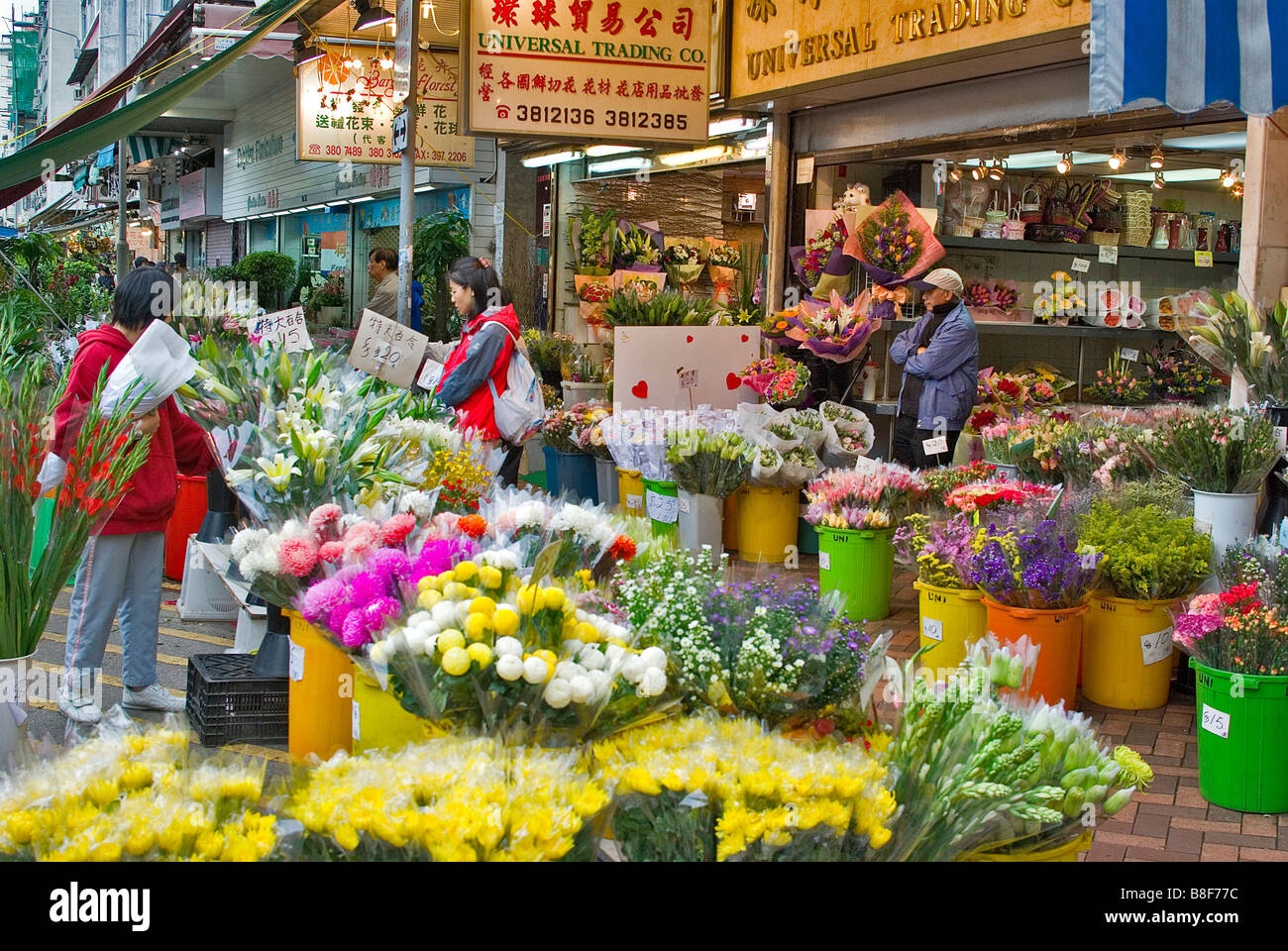 Asia, Cina, Hong Kong, Kowloon, Yau Tsim Mong District. Mong Kok Mercato dei Fiori fioristi sono concentrate sul mercato dei fiori Road. Foto Stock