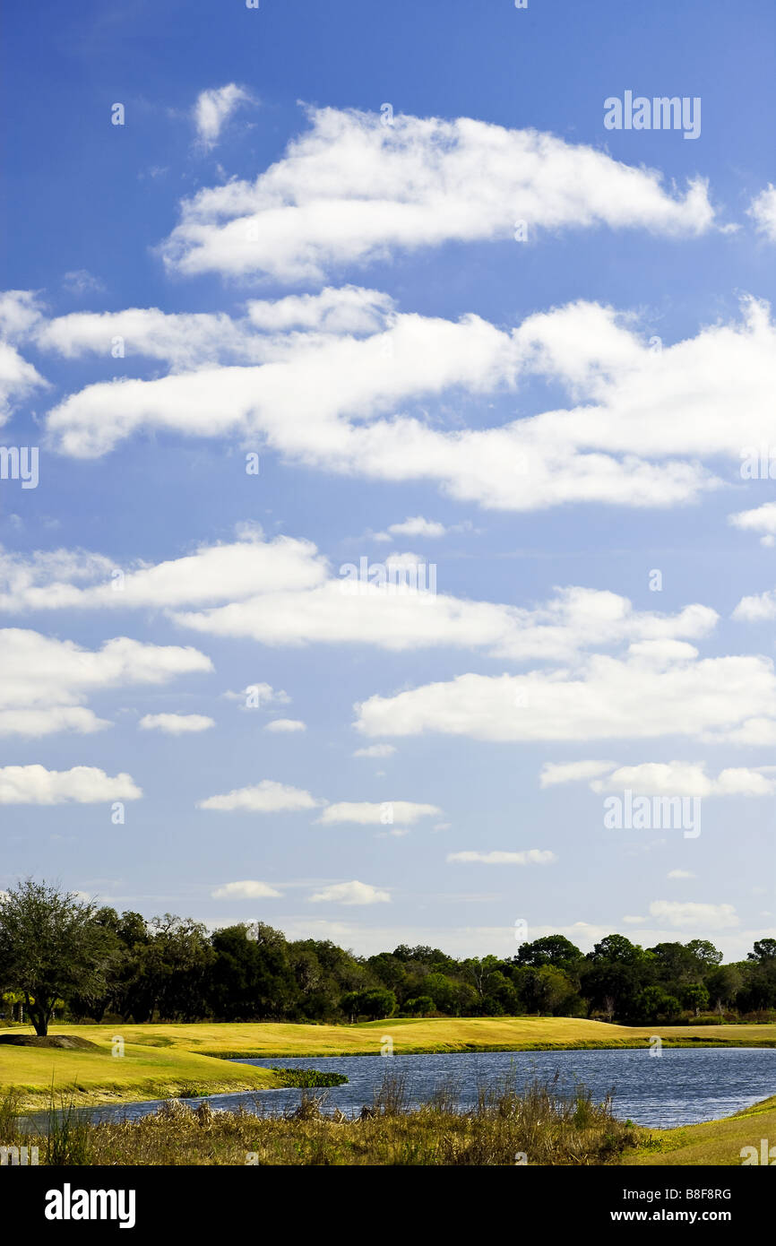 Blu cielo con soffici nuvole sullo sfondo Foto Stock