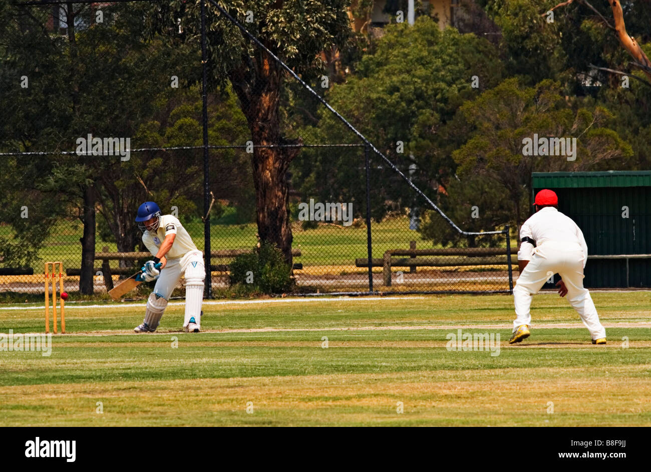 Sport Australia / dilettante cricket di Melbourne Victoria Australia. Foto Stock