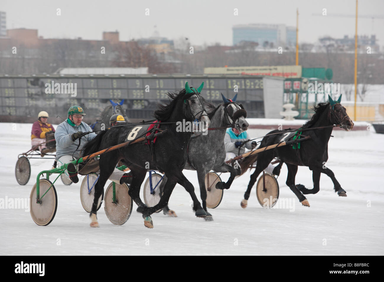 Cablaggio trotter horse racing a Mosca, Russia Foto Stock