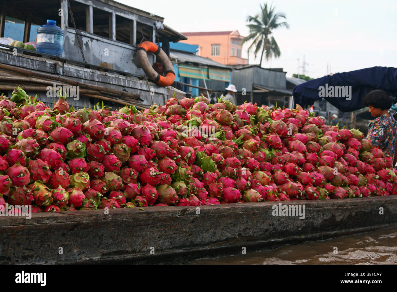 Barca caricata con dragon frutto a Can Tho mercato galleggiante, il delta del Mekong regione. Il Vietnam Foto Stock