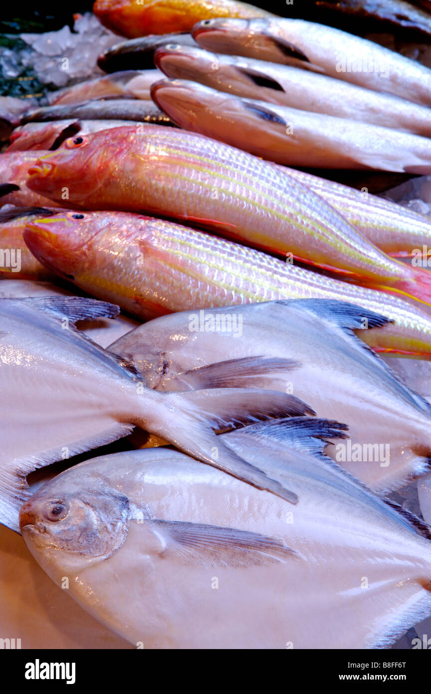 Pesce fresco su ghiaccio sul display a un mercato in stallo Foto Stock