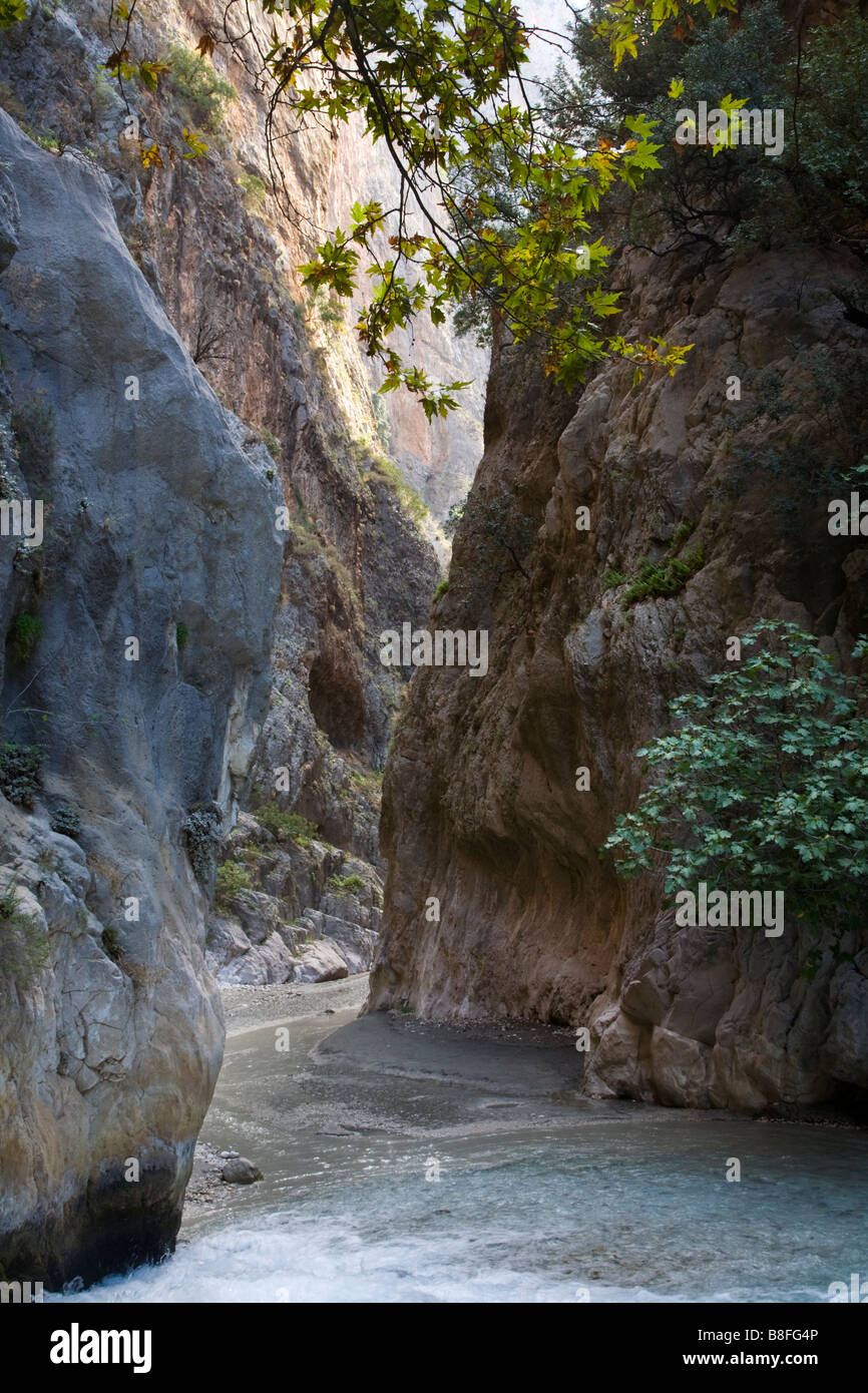 Fast acqua fluente attraverso Saklikent Gorge in Yakapark entro Yaka Village (Tlos)Turchia Foto Stock